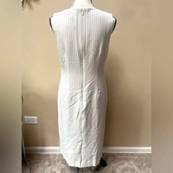 NWT Banana Republic Ivory Pinstripe Dress - Picture 4 of 7